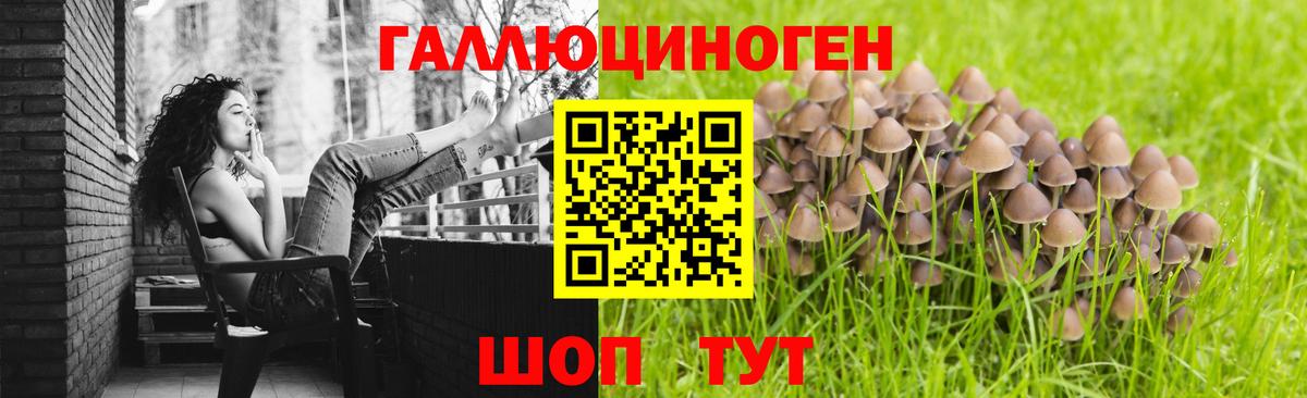 продажа наркотиков  Ржев  Псилоцибиновые грибы мухоморы 